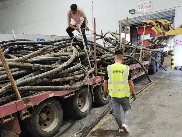 ʏ����܊���f��|����